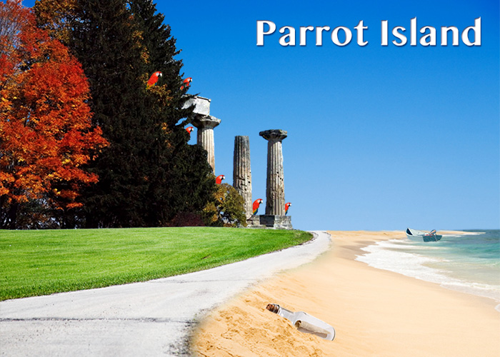 Parrot Island Collage