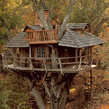 TreeHouse